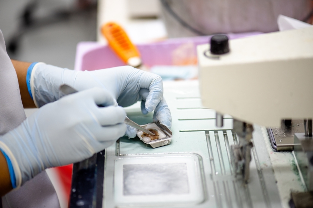 Pathologe Gehalt: Was verdient ein Pathologe/-in in Deutschland?